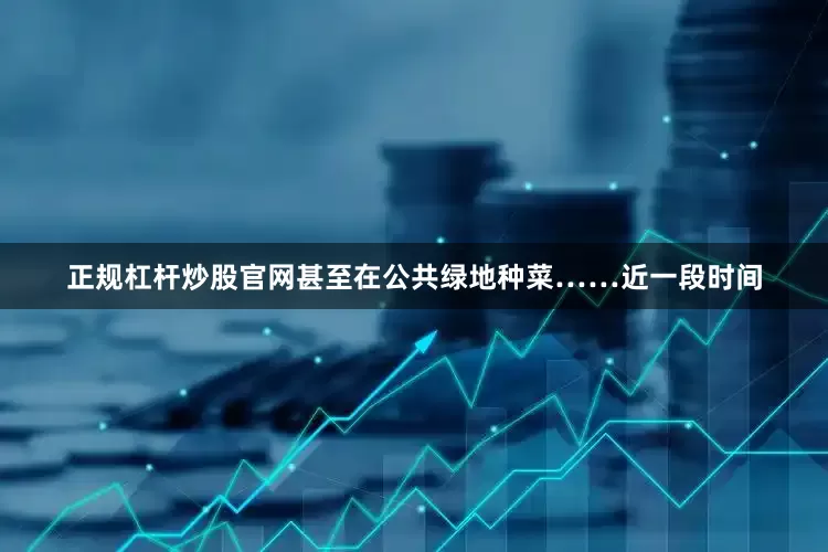 正规杠杆炒股官网甚至在公共绿地种菜……近一段时间