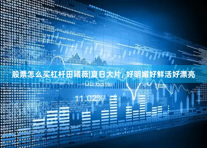 股票怎么买杠杆田曦薇|夏日大片, 好明媚好鲜活好漂亮